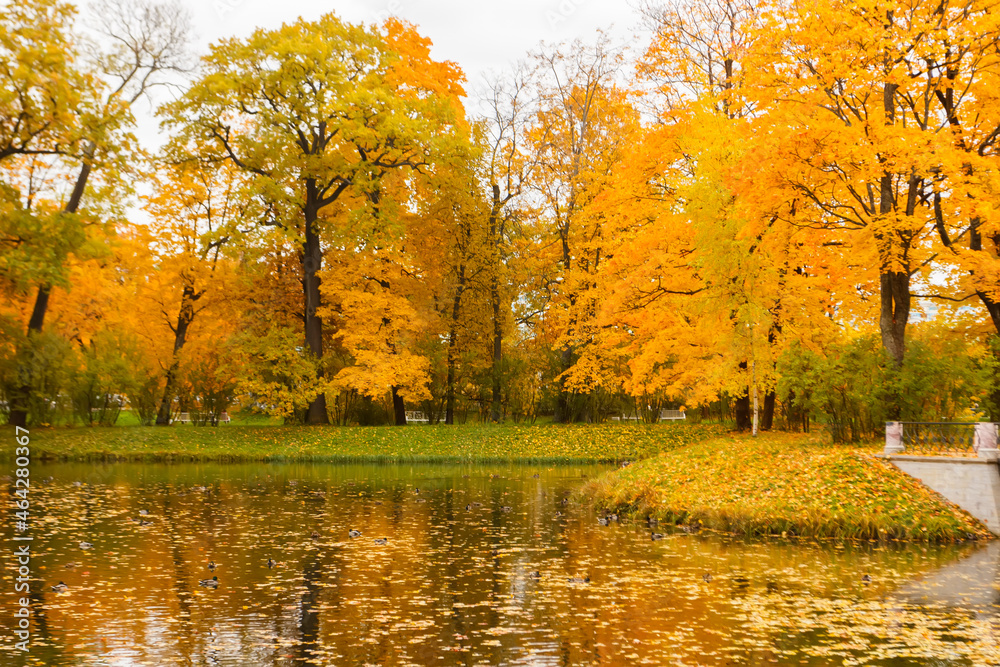 Alexander Park in autumn. With bright colorful leaves