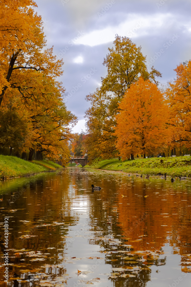 Fototapeta premium Alexander Park in autumn. With bright colorful leaves