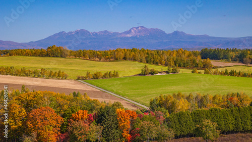 紅葉の丘と旭岳 秋の北海道 美瑛 絶景