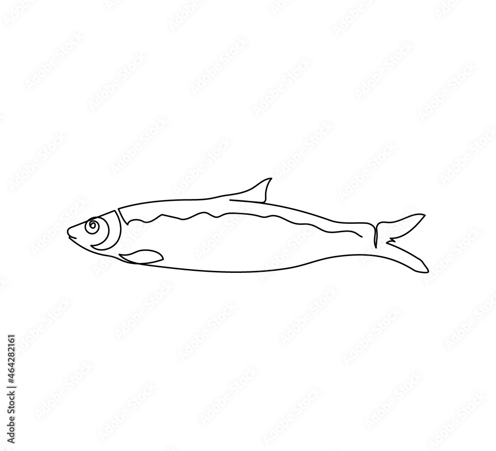Pacific, atlantic herring, clupea pallasii continuous line drawing. One