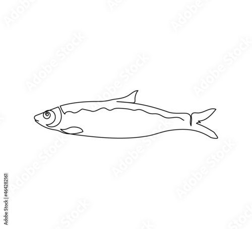Pacific, atlantic herring, clupea pallasii continuous line drawing. One line art of fish, seafood. photo