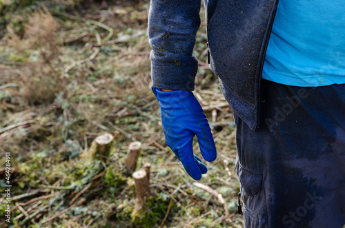 Partial view of the body of a forestry worker with a blue glove on his hand. © VicVaz