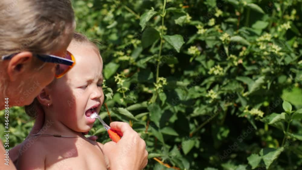 custom made wallpaper toronto digitalLittle girl at age of two is brushing her teeth in summer garden