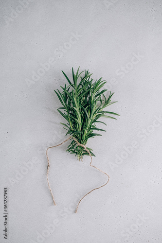 Fresh rosemary on gray background