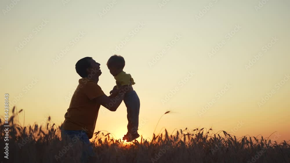 father and son. happy family baby a kid dream concept father throws his son into the air silhouette in the wheat field at sunset. happy family dad plays with his baby son in nature fun at sunset