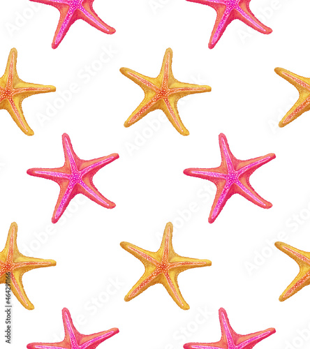 Seamless pattern with starfish. Hand-drawn illustration, colored