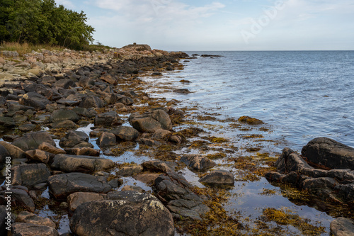 A rocky shoreline with blue water and a blu sky in the background. Picture from Skalderviken, southern Sweden © Dan