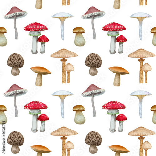 Seamless pattern with mushrooms. Forest background. Hand-drawn illustration, colored
