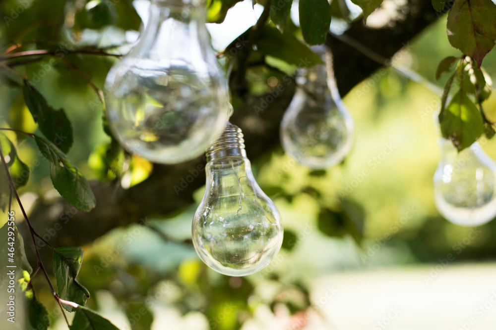 light bulbs decoration on a tree branch garden green background light bulbs decoration on a tree branch garden green background