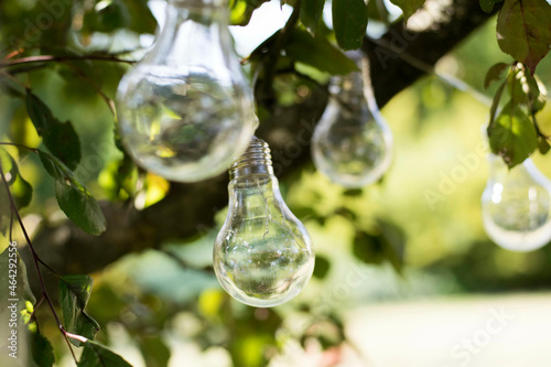 light bulbs decoration on a tree branch garden green background
