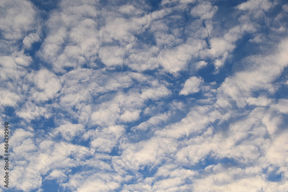 blue sky with fluffy clouds background sunlight wallpaper cloudscape