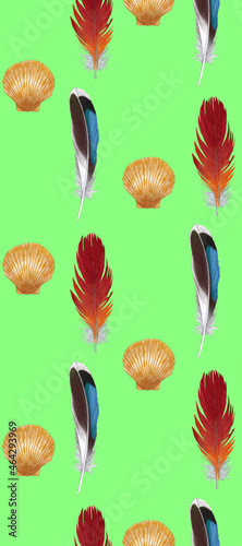 Seamless pattern with feathers and seashells. Hand-drawn illustration, colored