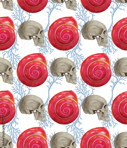 Seamless pattern with skulls, colars and seashells. Background. Hand-drawn illustration, colored photo