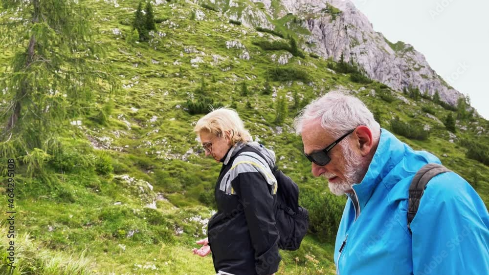 Elderly couple during a mountain excursion in the alps, summer season Elderly couple during a mountain excursion in the alps, summer season
