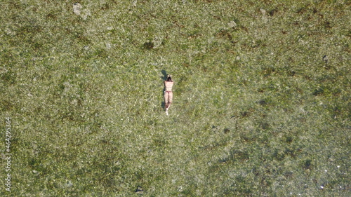 person swimming on the beach grass corals drone view ocean water sea nature explore adventure summer vacations travel relax paradise 