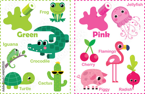 Green. Pink. Learn the color. Education set. Illustration of primary colors. Vector illustration