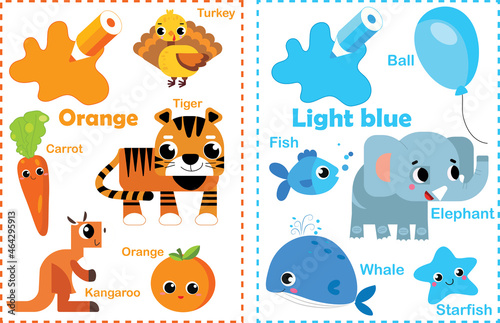 Fototapeta Naklejka Na Ścianę i Meble -  Orange. Blue. Learn the color. Education set. Illustration of primary colors. Animal color illustration