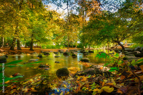 Autumn in the Oliwa Park of Gdansk  Poland
