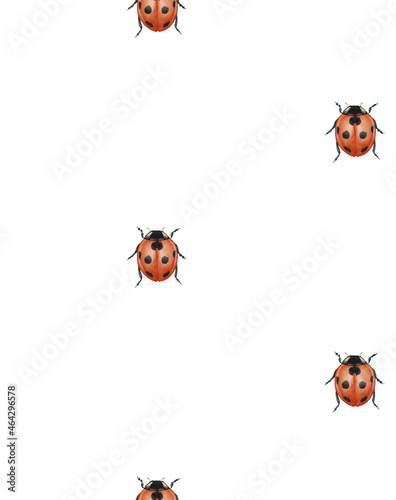 Seamless pattern with ladybugs. Forest background. Hand-drawn illustration, colored