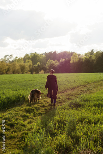 woman walking with a german shepherd dog in a field forest sunset photo