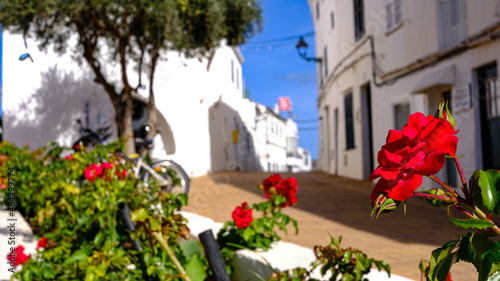 Fototapeta Naklejka Na Ścianę i Meble -  flower and street Fornells, Menorca, Balearic islands, spain,
