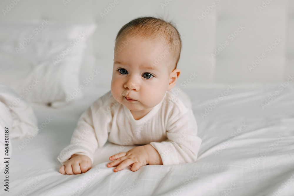 Five months old baby lying on stomach, making bored face expression.