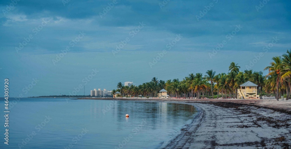 Crandon beach miami Florida panorama water palms tress tropical place nature 