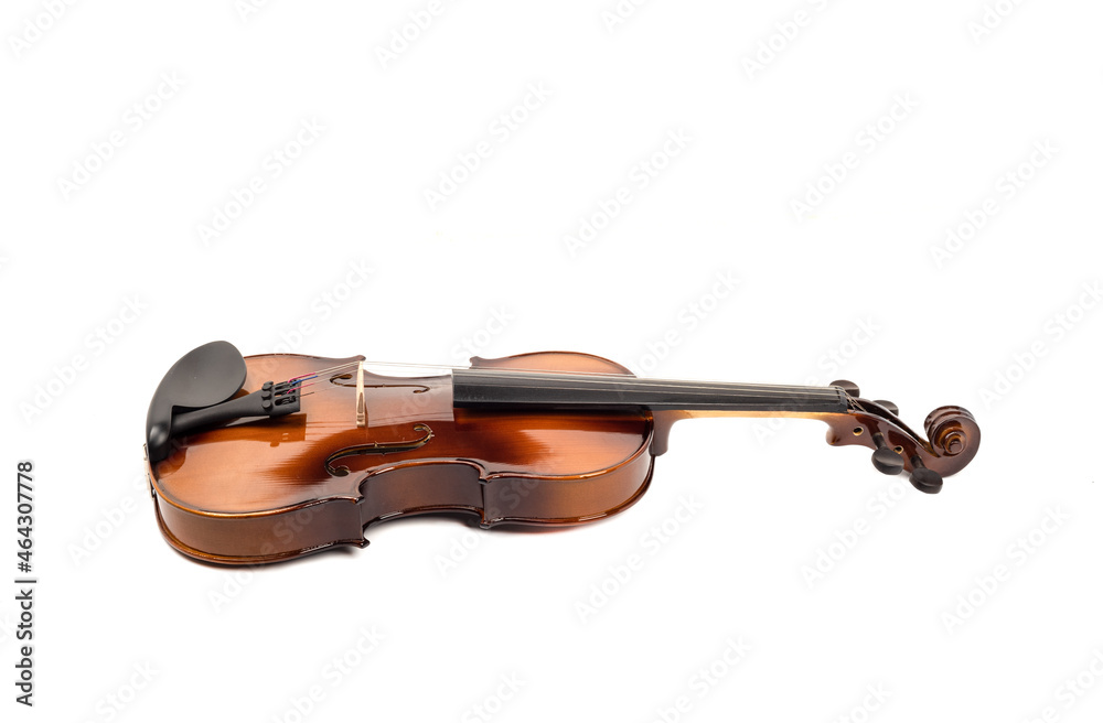 Obraz premium Violin with shadow on a white background with place for text.