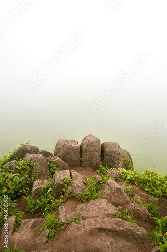 Lomas de Lachay