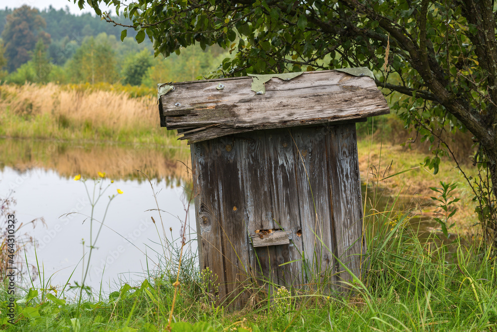 Old wooden beehive at the rural pond Old wooden beehive at the rural pond