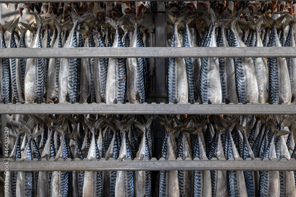 Lots of mackerel carcasses are hung in a smoking container.