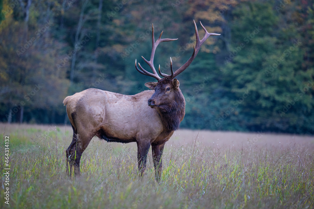Cataloochee Valley in the Smoky Mountains, North Carolina, Cataloochee Valley in the Smoky Mountains, North Carolina,