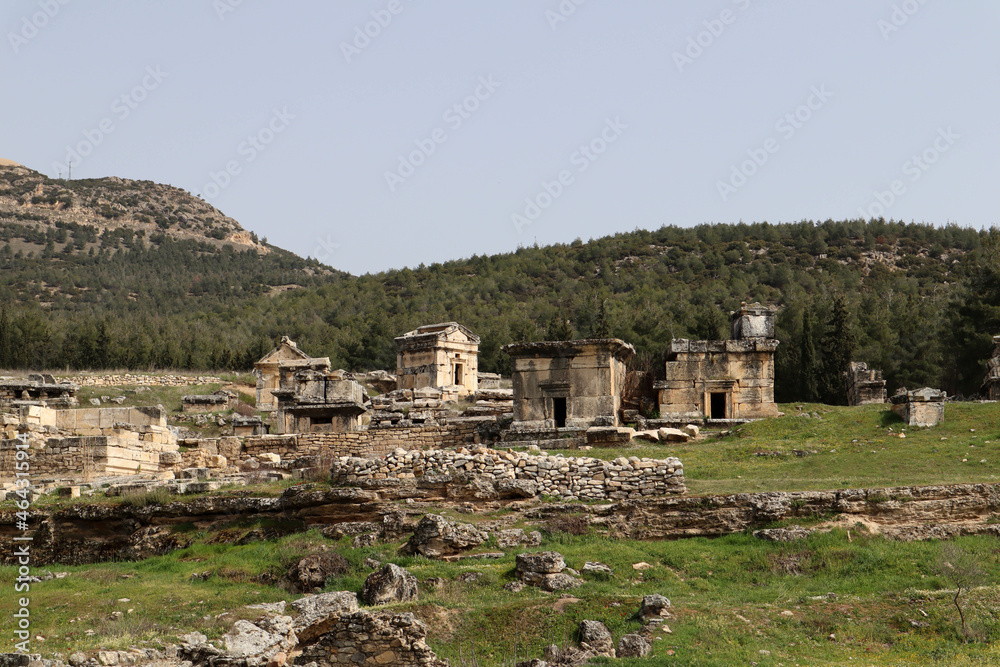 picturesque landscape with ancient stone tombs of Hierapolis, Turkey in the grass