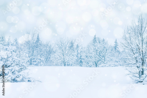 Beautiful Winter Forest Landscape. Winter Background. Snowing Day © Nataly Photography