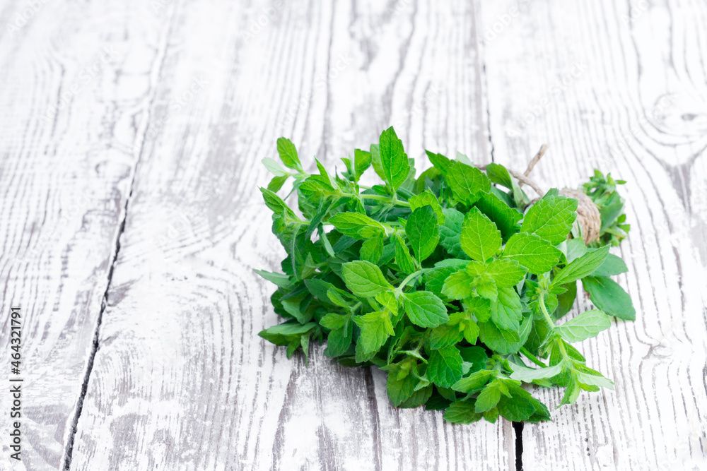 Bunch of fresh mint on white wooden table Bunch of fresh mint on white wooden table