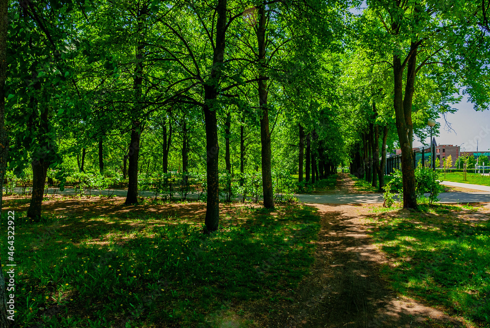 Fototapeta premium The Central Park of the city of Togliatti!