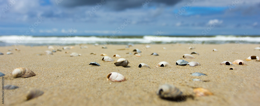sand and sea sand and sea