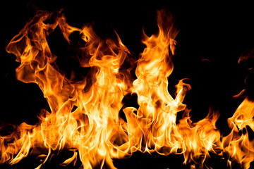 Fire flame. Burn lights on a black background.