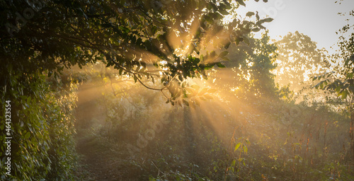 Sunrays