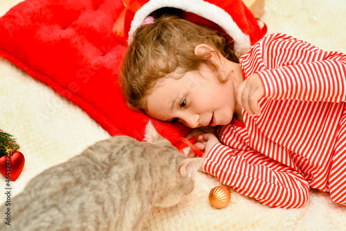 A little smiling girl in Santa's red hat and red christmas clothing lies on the bed with a british cat and a gift. Preparation for the celebration. New Year. hildren's Christmas. Atmosphere. Home. photo