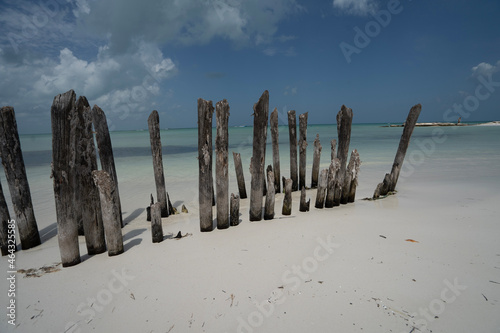 fence on the beach