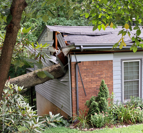 House Ripped in Two By Storm Fallen Tree