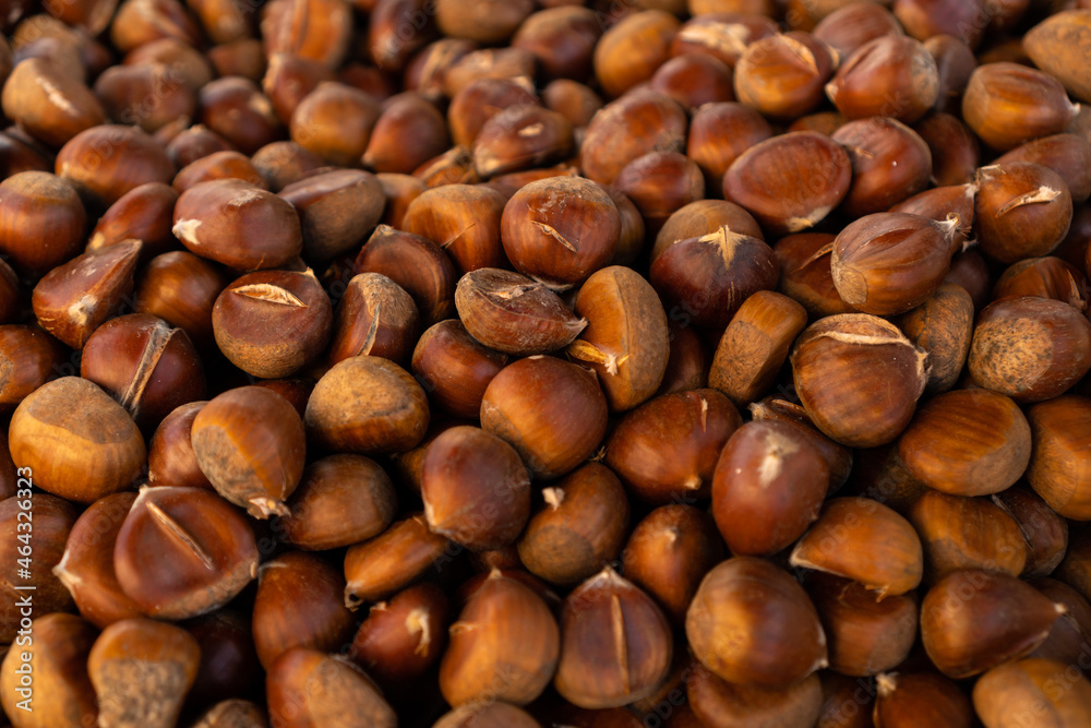 Top view of a pile of chestnuts. edible chestnuts ripe for human consumption. Autumn fruit. Feeding concept Top view of a pile of chestnuts. edible chestnuts ripe for human consumption. Autumn fruit. Feeding concept