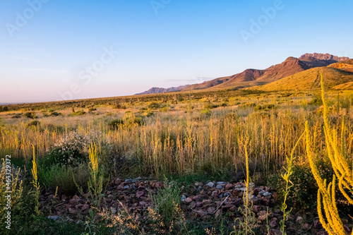 El Paso Green Desert