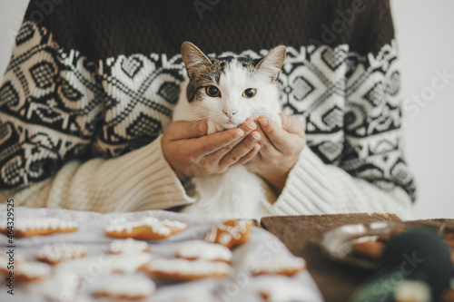 Woman in cozy sweater hugging cute kitten and making together stylish christmas gingerbread cookies on rustic table. Merry Christmas! Atmospheric moody image. Pet and winter holidays photo