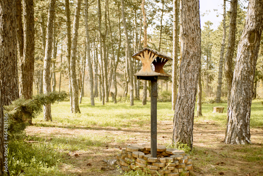 Wooden bird feeder in a pine forest. Taking care of wild birds. Wooden bird feeder in a pine forest. Taking care of wild birds.
