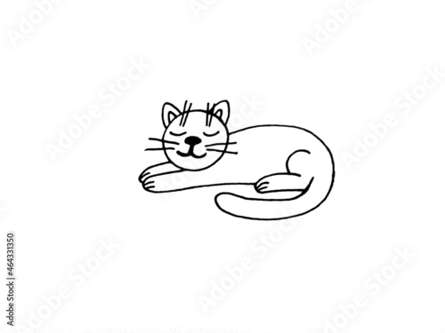 cat and mouse