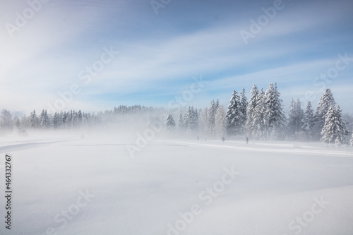 ski nordique dans la brume en hiver © jef 77