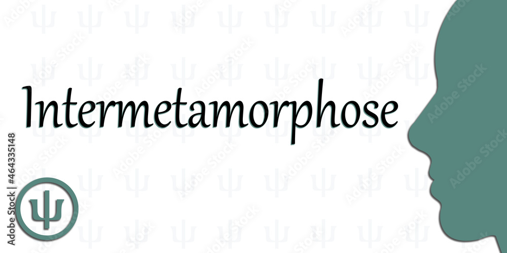 Intermetamorphose Intermetamorphose