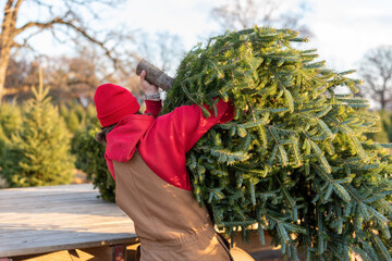 Man in coveralls loading a fresh cut Christmas tree onto a wagon